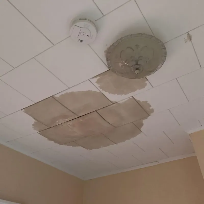 Ceiling Water Damage Repair in Houghton Lake, MI