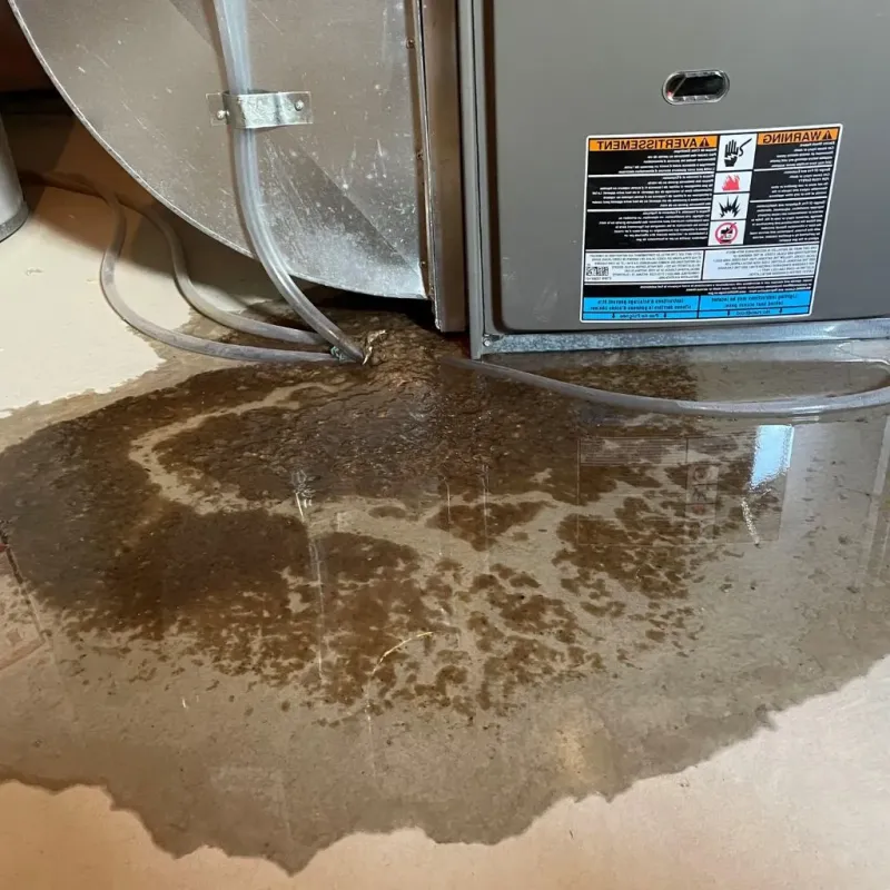 Pipe Burst and Leak Restoration in Houghton Lake, MI